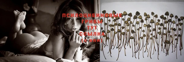бутират Покровск