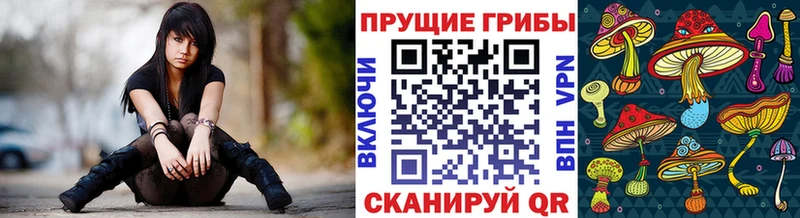 Псилоцибиновые грибы мухоморы цена наркотик Благодарный